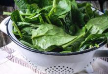 新研究：在绿叶蔬菜中发现的糖可促进肠道健康