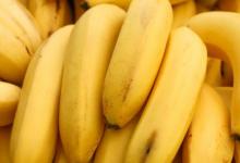 野生香蕉显示出作为天然糖尿病治疗药物的巨大潜力