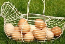 你可能永远不知道的关于鸡蛋的惊人真相