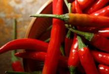 红辣椒是创新生物活性化合物的潜在来源
