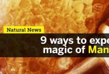体验麦卢卡蜂蜜魔力的九种方式