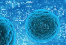 干细胞基因疗法在 ALS 安全试验中显示出希望