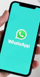 即将推出的WhatsApp更新包括离线显示功能和更多用于消息反应的表情符号