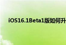 iOS16.1Beta1版如何升级 iOS16.1Beta1更新了什么