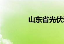 山东省光伏装机量全国第一