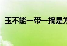 玉不能一带一摘是为什么？ 来看看原因吧！