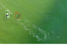 用人工智能支撑无人机有助于冲浪救生员在海滩上发现鲨鱼