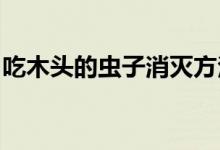吃木头的虫子消灭方法 (吃木头如何虫子消灭)