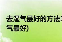 去湿气最好的方法吃什么好 (吃哪些食物去湿气最好)