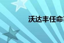 沃达丰任命喜力公司董事长