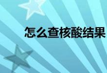 怎么查核酸结果 (查核酸结果的方法)