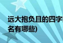 远大抱负且的四字网名(远大抱负且的四字网名有哪些)