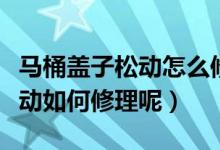 马桶盖子松动怎么修理手进不去（马桶盖子松动如何修理呢）