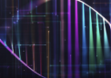 科学家创建了最大的合子后人类基因突变图谱