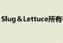 Slug＆Lettuce所有者TDR权衡EI集团的收购