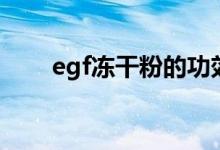 egf冻干粉的功效作用（egf冻干粉）