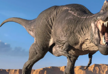 新研究称恐龙可能是被小行星尘埃杀死的