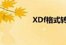 XDf格式转换（xdf格式）