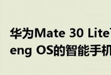 华为Mate 30 Lite可能是第一款采用HongMeng OS的智能手机