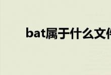 bat属于什么文件（bat是什么文件）