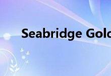 Seabridge Gold完成内华达项目收购