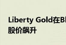 Liberty Gold在Black Pine的新钻探结果中股价飙升