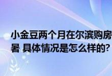 小金豆两个月在尔滨购房共4650套 网友：冬天看雪夏天避暑 具体情况是怎么样的?