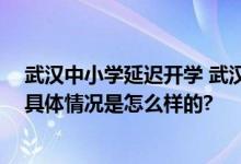 武汉中小学延迟开学 武汉最新天气预报：气温断崖式下降 具体情况是怎么样的?