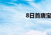 8日首唐宝生炉料类跌30
