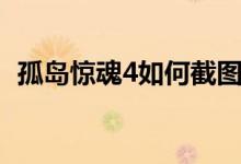 孤岛惊魂4如何截图（孤岛惊魂4怎样截图）