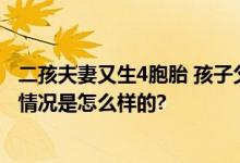 二孩夫妻又生4胞胎 孩子父亲发声：希望社会提供帮助 具体情况是怎么样的?