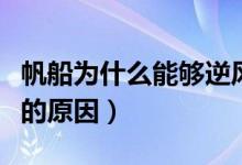 帆船为什么能够逆风航行（帆船能够逆风航行的原因）