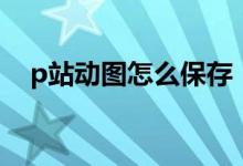 p站动图怎么保存（p站动图可以保存吗）