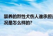 禁养的烈性犬伤人谁承担责任？民法典司法解释明确 具体情况是怎么样的?