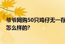 爷爷网购50只鸡仔无一存活 网友：鸡仔好可怜 具体情况是怎么样的?