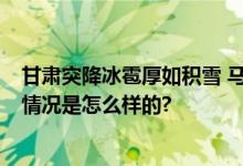 甘肃突降冰雹厚如积雪 马路变冰河 街道上白茫茫一片 具体情况是怎么样的?