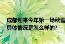 成都迎来今年第一场秋雪 网友：无心上班想要初雪配炸鸡 具体情况是怎么样的?