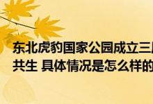 东北虎豹国家公园成立三周年：新思路新科技守护人虎和谐共生 具体情况是怎么样的?