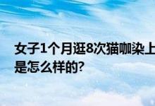 女子1个月逛8次猫咖染上宠物癣 网友：太吓人了 具体情况是怎么样的?