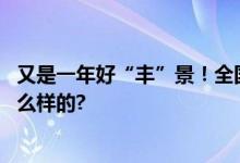 又是一年好“丰”景！全国秋粮已收获59.8% 具体情况是怎么样的?