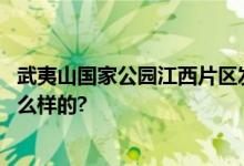 武夷山国家公园江西片区发现脊椎动物新物种 具体情况是怎么样的?